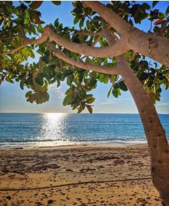 Photo de la galerie de l'établissement Villa Olvia, à Kanallákion