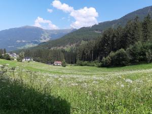 Příroda nedaleko apartmánu