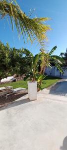 A garden outside Casa Vacanza "La Mangiatoia in corte"