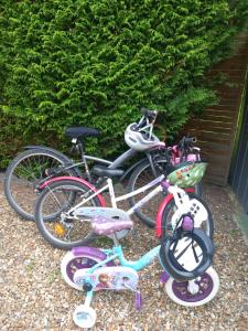 a couple of bikes parked next to each other at Le Cottage de Maé in Seigy