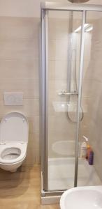 Koupelna v ubytování Chalet Tornede + 13 fotografií