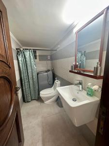 a bathroom with a sink and a toilet and a mirror at Ksara Zahle - Luxurious two bedroom apartment in Zahlé +17 photos