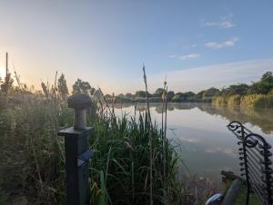 a bench next to a body of water at the reedy cabin in Bexley