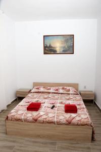 a bedroom with a bed with red pillows on it at Vila Giovanni in Orşova