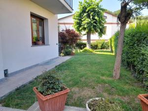 a yard with two potted plants and a tree at Casa Palombara - Baschi in Baschi