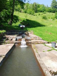 Gallery image of Rural Household Baltic in Mojkovac