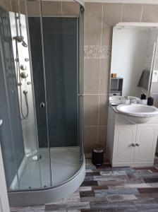 a bathroom with a shower and a sink at Gîte de la fontaine in Venarey-les-Laumes +17 photos