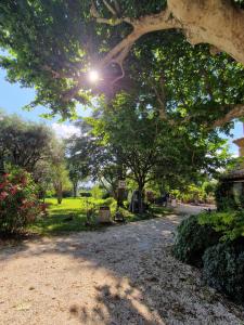 a tree with the sun shining in a park at Mes Chambres à la campagne in Orange