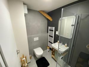 Koupelna v ubytování Apartmány v Javorné na Šumavě