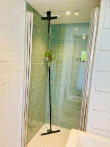 a shower with a glass door in a bathroom at Natuurhuisje in Drenthe inclusief biologisch ontbijt in Nieuwlande