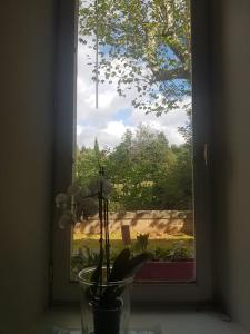 Vonkajšia záhrada v ubytovaní Petit loft face rivière + 6 fotografií