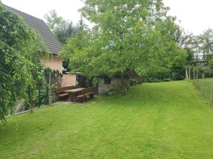 a garden with a picnic table and a tree at Apartmaji Klanc in Bovec