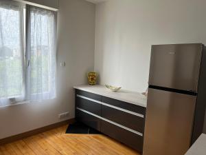 eine Küche mit einem Kühlschrank neben einem Fenster in der Unterkunft La maison de la brasserie in Sens