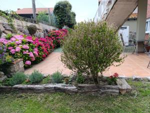 A garden outside Apartamentos Guadalupe