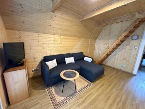 TV a/nebo společenská místnost v ubytování Chalet Galla