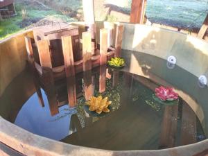 Fotografie z fotogalerie ubytování Domo, Cabaña, Tinaja El Rulo Coinco v destinaci Rancagua