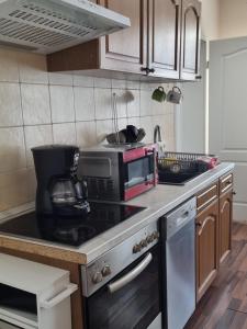 Η κουζίνα ή μικρή κουζίνα στο Ferienwohnung am Kanuverleih