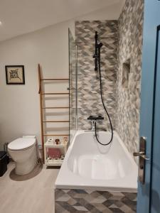 Gallery image of Artist house with piano and charming garden in Reims +32 photos