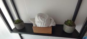 a shelf with two potted plants and a towel at El Rincón de Manuela By Travel Home in El Cardete +36 photos