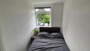 Un dormitorio pequeño con una cama y una ventana. en Bright Spacious Airy 2 Bed Flat, en Ealing
