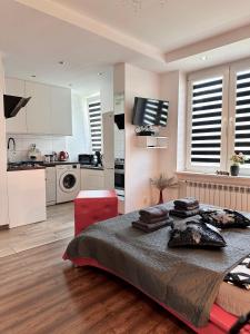 Kuchyňa alebo kuchynka v ubytovaní Apartament Centrum Chmielna 73c
