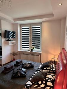 Televízia a/alebo spoločenská miestnosť v ubytovaní Apartament Centrum Chmielna 73c