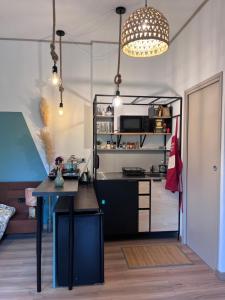 Kuchyň nebo kuchyňský kout v ubytování Charmant studio en rez de jardin Chaville