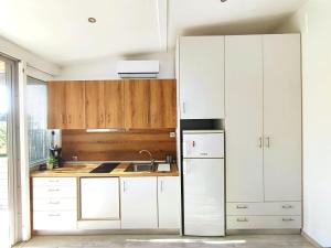 Kuchyň nebo kuchyňský kout v ubytování Aloe Residence Possidi + 9 fotografií