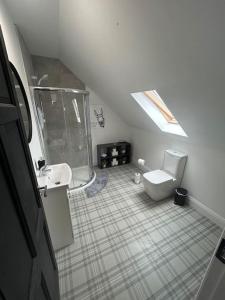 un bagno con doccia, WC e lavandino di Bobbys Studio a Belmullet