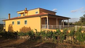 Assanha da PazにあるCasa Londrinoのブドウ畑の中の黄色い家