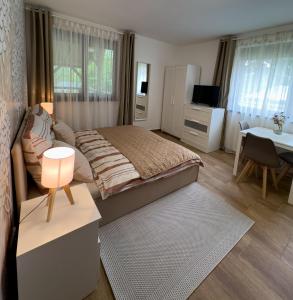 TV a/nebo společenská místnost v ubytování RP Apartmanház
