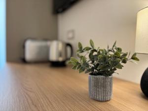 Foto dalla galleria di Robely rooms ad Alghero