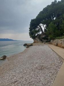Φωτογραφία από το άλμπουμ του Apartmani Kapetan Podaca σε Podaca