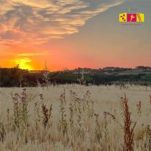 The sunrise or sunset as seen from a vidéki vendégházakat or nearby