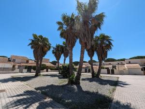 una fila di palme in un cortile di Maison de vacances avec jardin, 650m de la mer, WIFI,CLIM a Saint-Cyprien