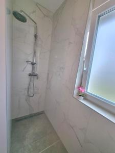 a bathroom with a shower with a glass door at Crystal Apartment Umag in Umag