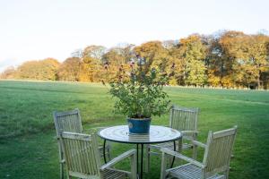 een tafel met een potplant op een veld bij Cotswold Stable Cottage in Bibury +1 foto