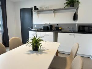 a kitchen with a table with a plant on it at BSD Apartment - Self Check-in & Parkplatz in Bochum