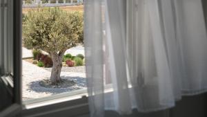 una ventana con vista a un árbol en Olives Rocks Naxian Villas, en Agia Anna de Naxos 81 fotos más