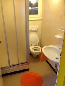 a bathroom with a toilet and a sink at Rustico sui Monti di Rima in Broglio +12 photos