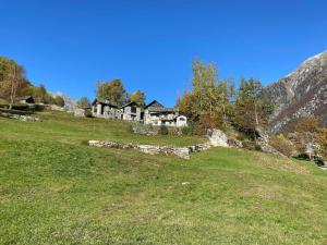 a house on a hill in a field at Rustico sui Monti di Rima in Broglio