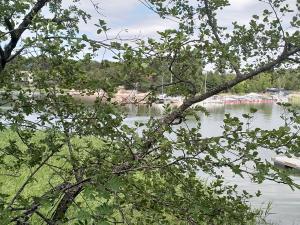 a view of a river through the branches of a tree at Naantalissa idyllinen merenrantatalo, OnnenPoukama in Naantali
