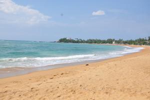 a sandy beach with the ocean and trees in the background at SurfCity Guesthouse in Unawatuna