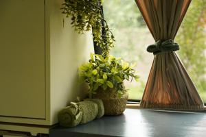 Photo de la galerie de l'établissement Montenegro Camper VOYAGER, à Podgorica