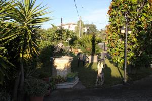 Zahrada ubytování "Casa Macario" tra Costa dei Trabocchi e Majella