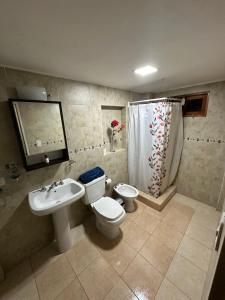 a bathroom with a toilet and a sink at MS Hotel Campos 26 in Ushuaia +101 photos
