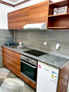 a kitchen with a sink and a stove top oven at Vila Markovic-a in Soko Banja