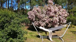 Giardino di Österlencharm