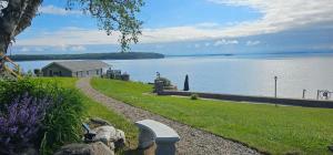 eine Bank auf einem grasbewachsenen Hügel neben einem Gewässer in der Unterkunft ZaLo House Waterline cabin with Hot Tub Pets in Peru + 16 Fotos