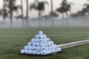 Гольф на территории дома для отпуска или поблизости